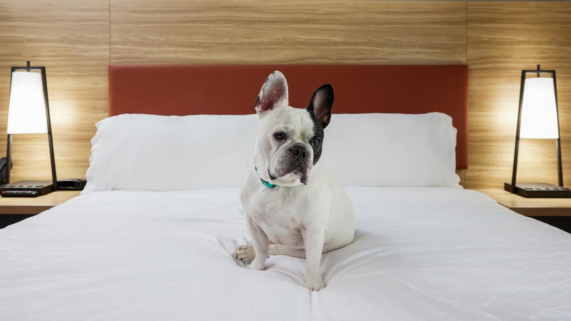 Candlewood Suites Junction City - Ft. Riley By Ihg Eksteriør bilde